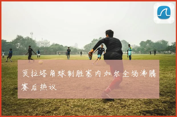 莫拉塔角球制胜塞内加尔全场沸腾赛后热议