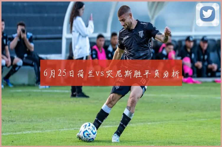 6月25日荷兰vs突尼斯胜平负分析