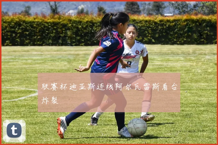 联赛杯迪亚斯连线阿尔瓦雷斯看台炸裂