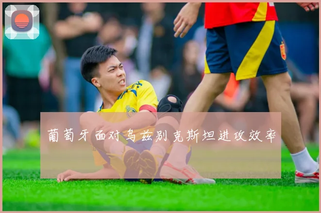 葡萄牙面对乌兹别克斯坦进攻效率