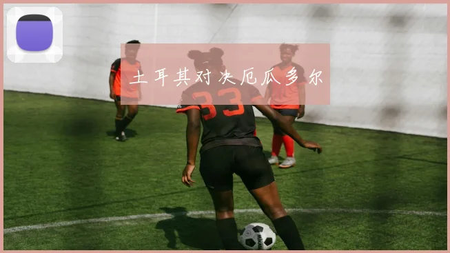 土耳其对决厄瓜多尔