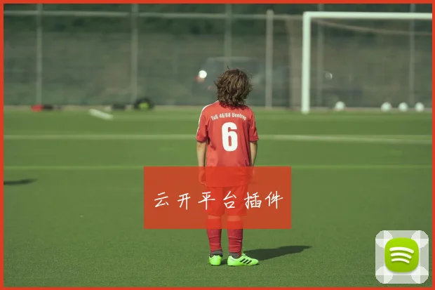 云开平台插件
