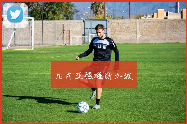 几内亚强碰新加坡
