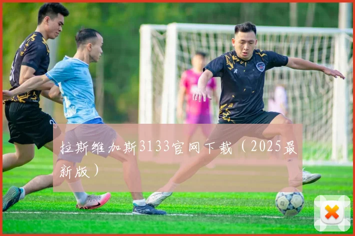 拉斯维加斯3133官网下载（2025最新版）