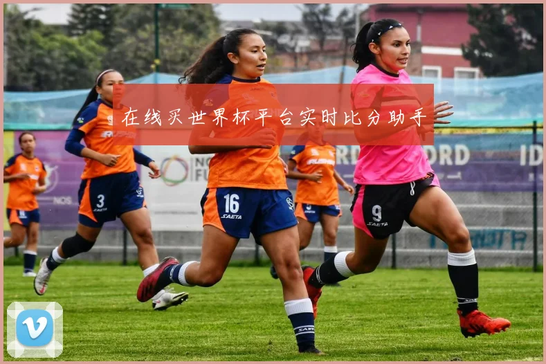 在线买世界杯平台实时比分助手