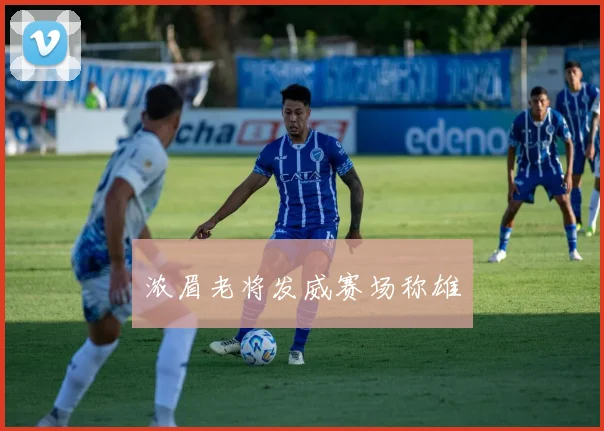 浓眉老将发威赛场称雄