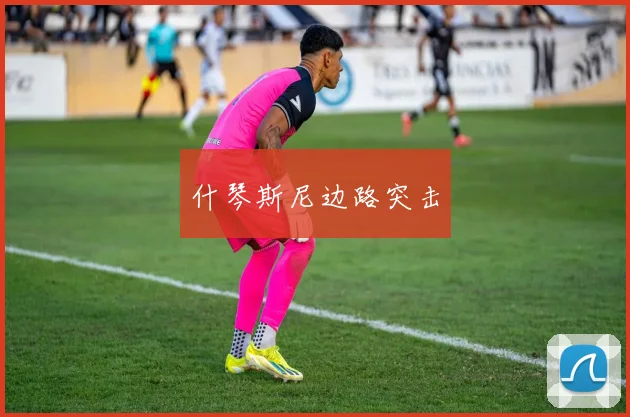 什琴斯尼边路突击