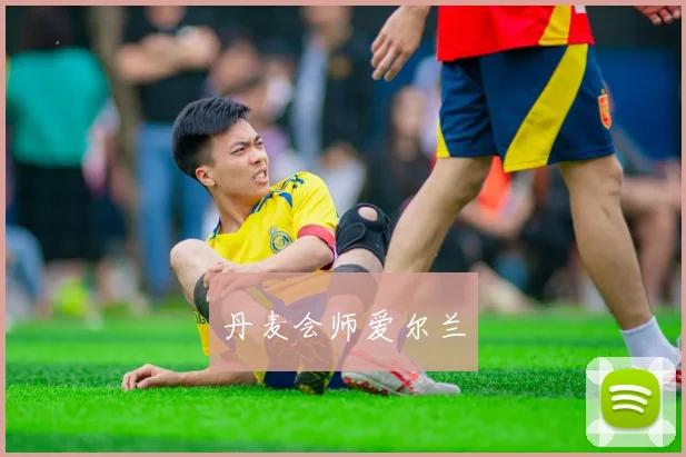丹麦会师爱尔兰
