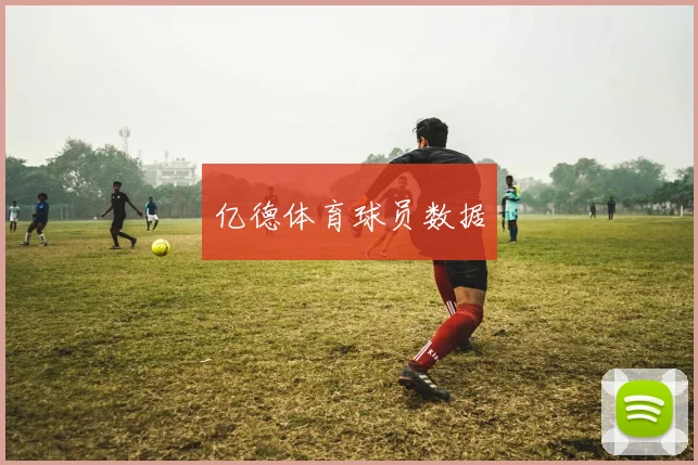 亿德体育球员数据