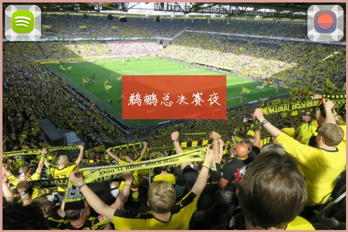 鹈鹕总决赛夜