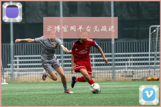 云博官网平台无延迟