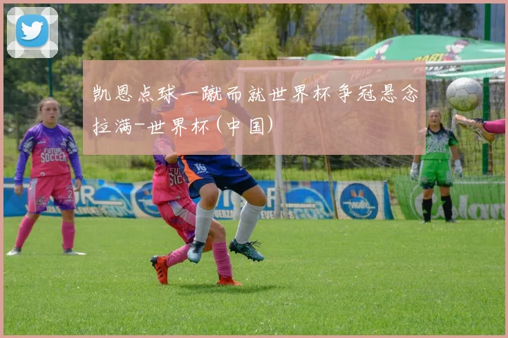 凯恩点球一蹴而就世界杯争冠悬念拉满-世界杯(中国)