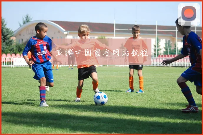 亚搏中国官方网站教程