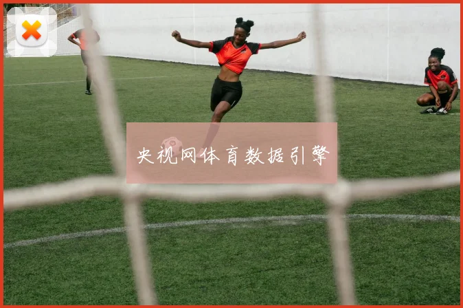 央视网体育数据引擎