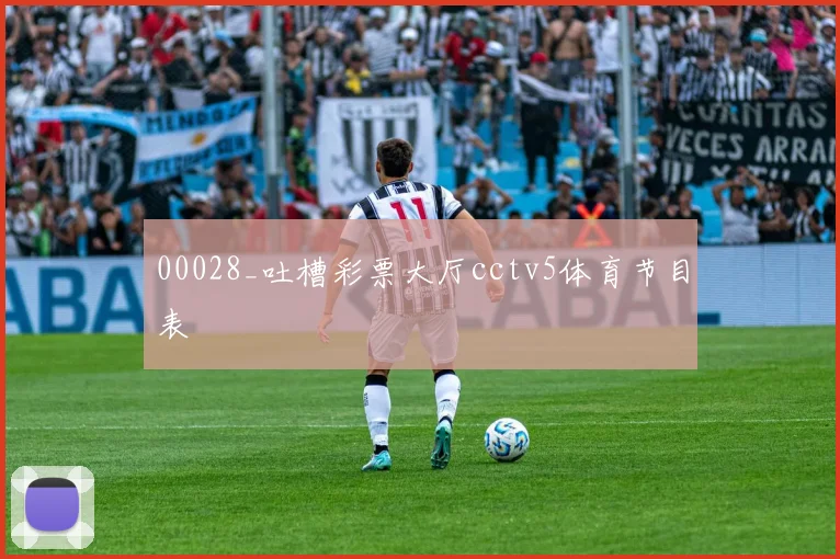 00028_吐槽彩票大厅cctv5体育节目表