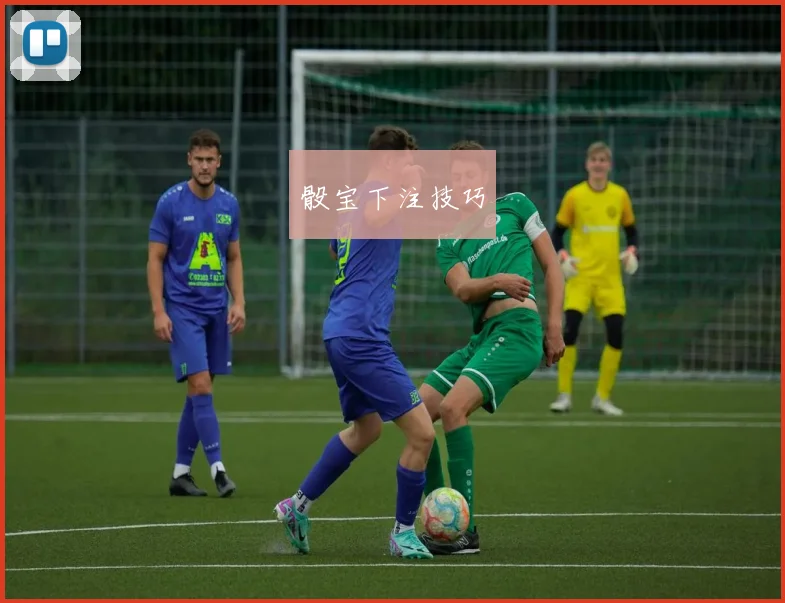 骰宝下注技巧
