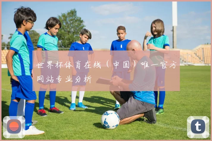 世界杯体育在线（中国）唯一官方网站专业分析