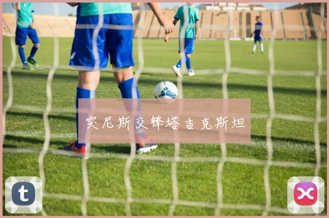 突尼斯交锋塔吉克斯坦