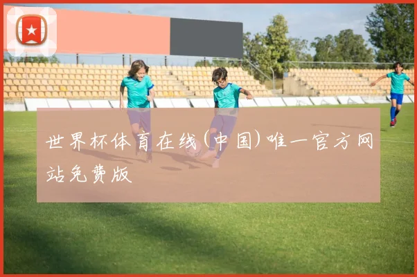 世界杯体育在线(中国)唯一官方网站免费版