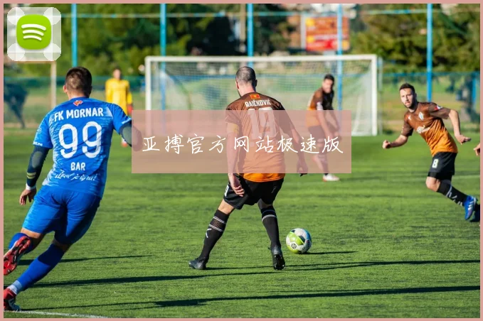 亚搏官方网站极速版