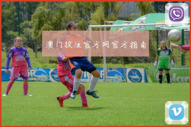 澳门投注官方网官方指南