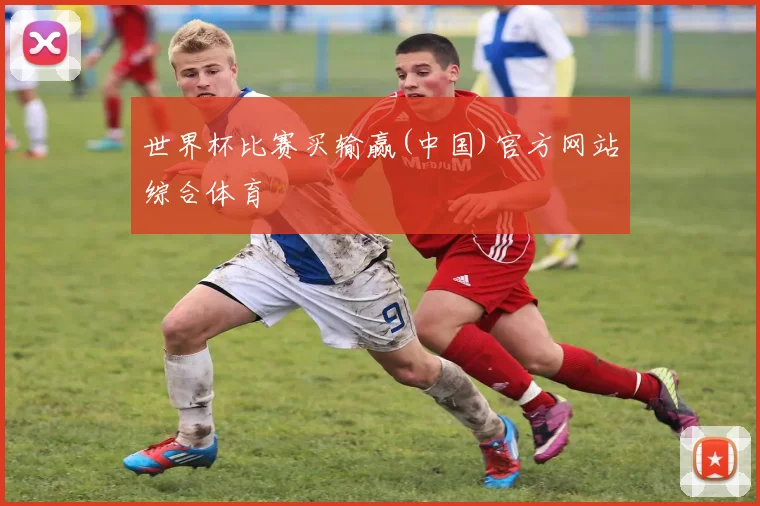 世界杯比赛买输赢(中国)官方网站综合体育