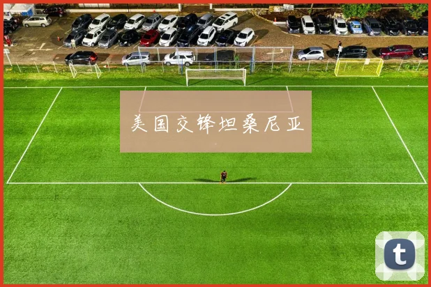 美国交锋坦桑尼亚