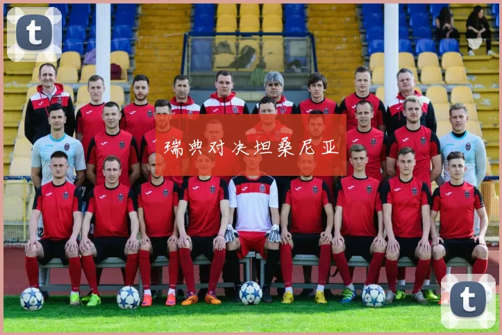 瑞典对决坦桑尼亚