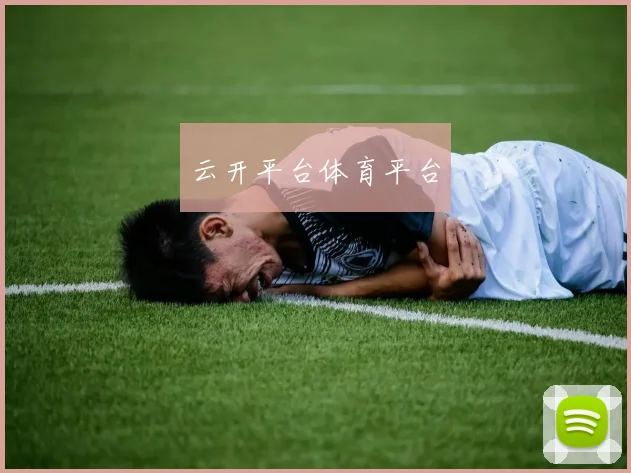 云开平台体育平台