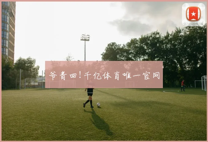 爷青回!千亿体育唯一官网