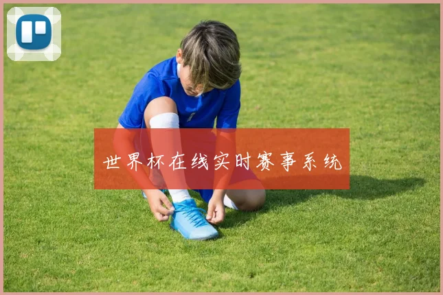 世界杯在线实时赛事系统
