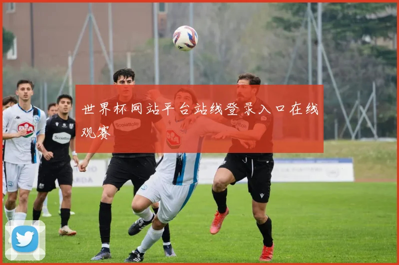 世界杯网站平台站线登录入口在线观赛