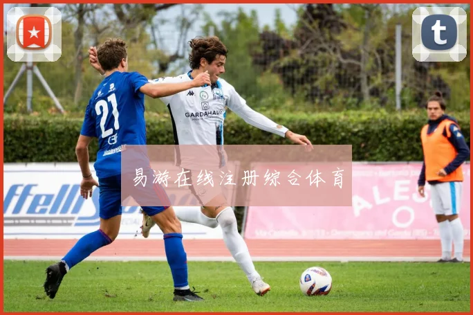 易游在线注册综合体育