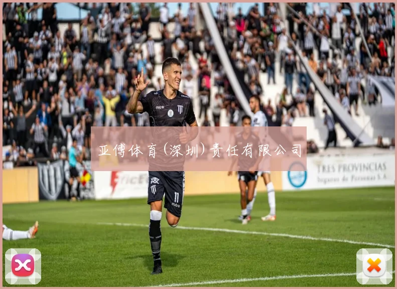 亚傅体育(深圳)责任有限公司