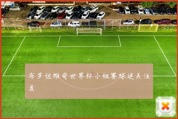 布罗佐维奇世界杯小组赛球迷关注度