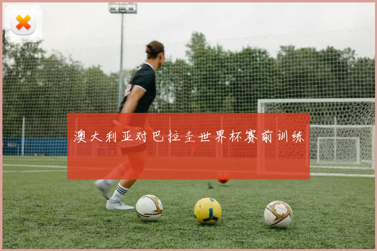 澳大利亚对巴拉圭世界杯赛前训练