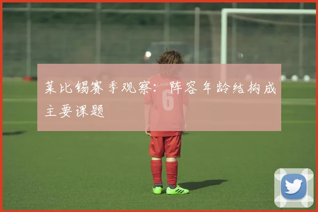 莱比锡赛季观察:阵容年龄结构成主要课题