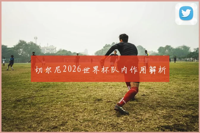 切尔尼2026世界杯队内作用解析