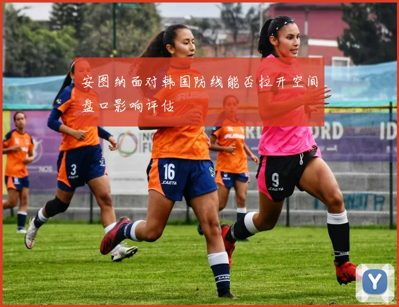 安图纳面对韩国防线能否拉开空间盘口影响评估