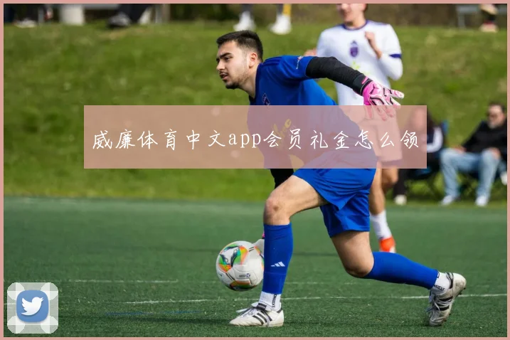 威廉体育中文app会员礼金怎么领